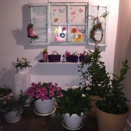 Ajla Homestay szállás *